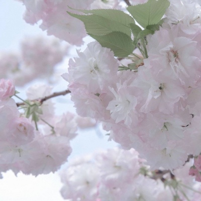 兽设配色实用搭配指南FurryQQ群